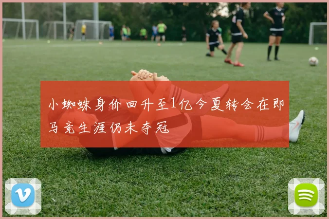 小蜘蛛身价回升至1亿今夏转会在即马竞生涯仍未夺冠