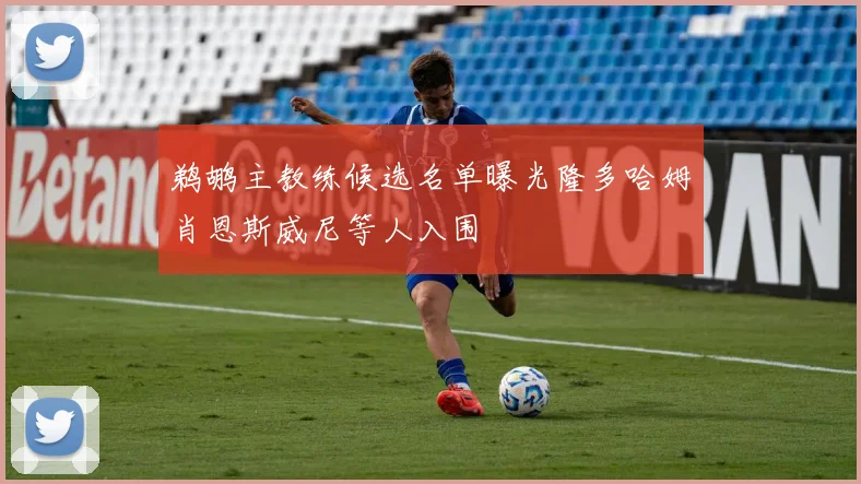 鹈鹕主教练候选名单曝光隆多哈姆肖恩斯威尼等人入围